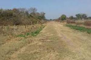 Campos Sin datos  campo